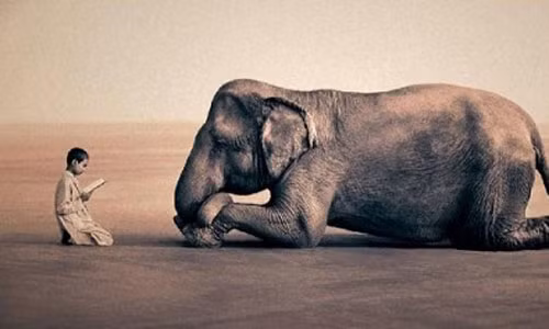 Phat day: Dung vi mieng an ma gieo nen ac nghiep kho den kiep sau