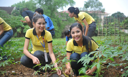 Ngoc Han tha len bao voi viec tu thien con hon scandal-Hinh-2