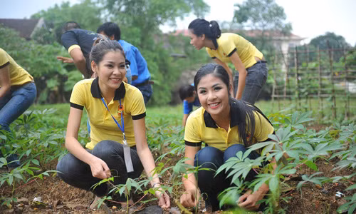 Ngoc Han tha len bao voi viec tu thien con hon scandal-Hinh-2