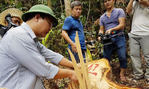 Ông Lê Trí Thanh, Phó Chủ tịch UBND tỉnh Quảng Nam kiểm tra tại hiện trường.