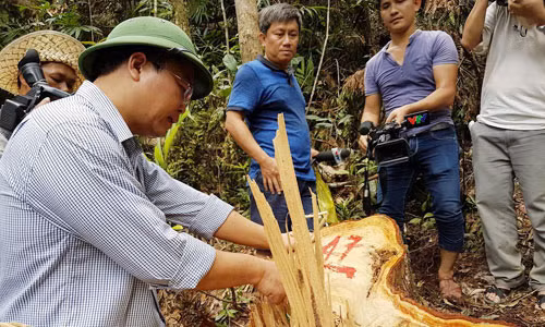 Ông Lê Trí Thanh, Phó Chủ tịch UBND tỉnh Quảng Nam kiểm tra tại hiện trường.