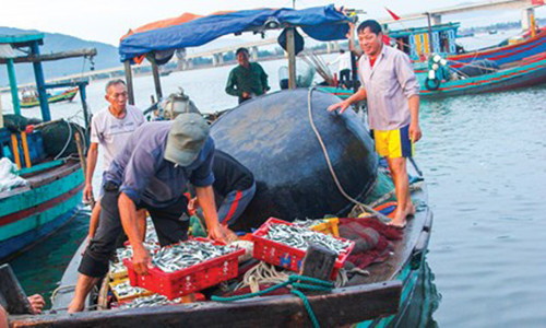 Ngư dân xã Cẩm Nhượng (Cẩm Xuyên) và Thạch Kim (Lộc Hà) bám biển, ra khơi. Ảnh: Minh Thùy.