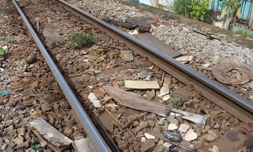 Lanh nguoi dan be rao chan duong ray tau hoa de do rac, trong rau-Hinh-9