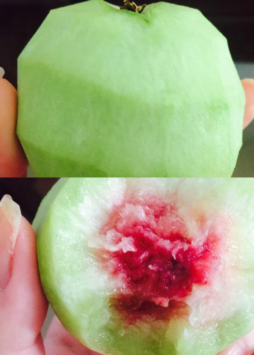 Dù biết cần hạn chế ăn đào trong thời kì bầu bí nhưng Hồng Quế không kìm được lòng mình trước thứ quả mà cô rất thích.