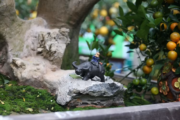 Tiểu cảnh được chủ vườn trang trí quanh gốc bưởi giúp cây trở nên sinh động hơn.