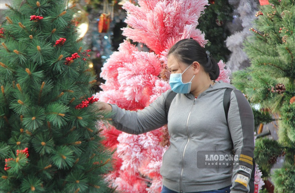 Cây thông là một trong những mặt hàng được nhiều người đến đây lựa chọn nhiều nhất, giá mỗi cây thông cao 1,2m và 1,5m dao động từ 170.000 - 250.000 đồng. Những cây thông cao hơn 2m và có đính kèm phụ kiện có giá từ 2.000.000 đến 4.000.000 đồng/cây.