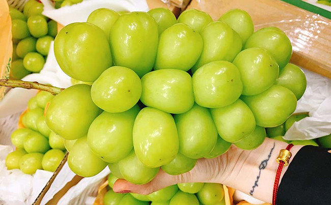 Mỗi chùm nho nặng trên 1kg, được bán với giá lên tới 7 triệu đồng.