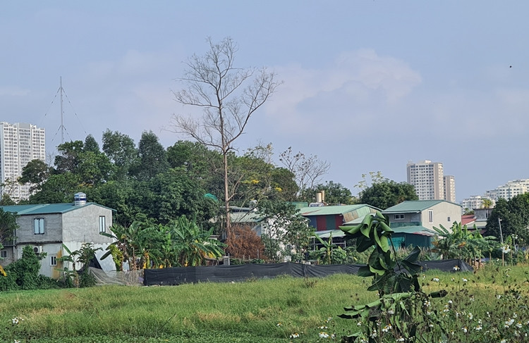 Những công trình nhà ở được cải tạo, đua nhau “vươn” từ 1-2 tầng trên đất nông nghiệp ở khu vực đường Sa Đôi vẫn nguyên hiện trạng.