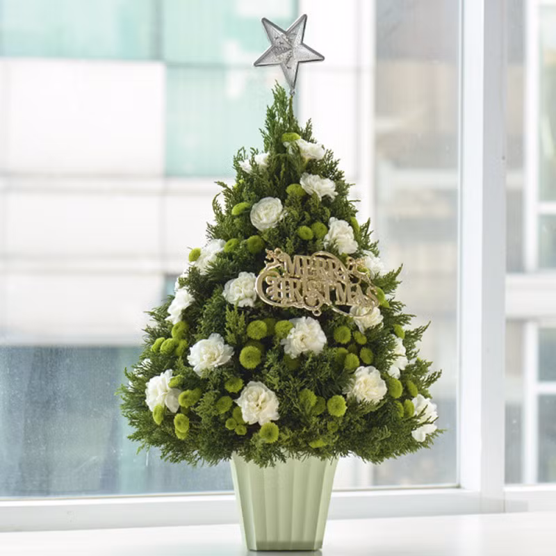 Thêm một lựa chọn mới cho dịp Giáng sinh năm nay, đó là những cây thông Noel kết từ lá tùng tươi kết hợp với hoa tươi như hoa hồng, hoa cúc xanh, hoa baby… được trang trí thêm các món phụ kiện đặc trưng của mùa lễ hội như quả châu, bông tuyết… với giá bán từ 500.000 đồng được nhiều người lựa chọn để trang trí cho văn phòng, công sở hay phòng khách gia đình.