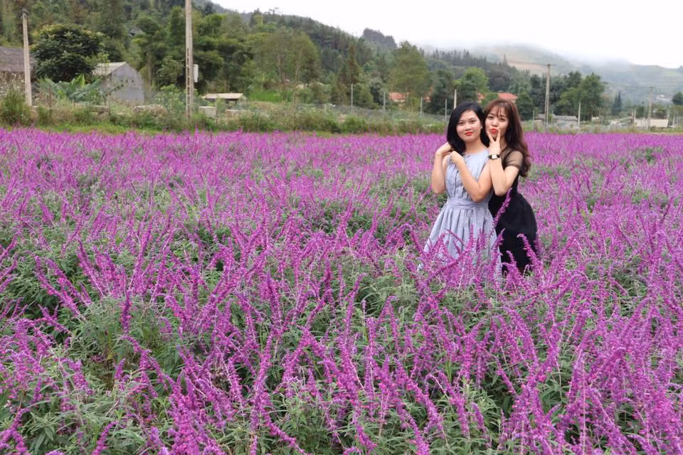 Nơi đây trở thành điểm "check- in" lý tưởng cho những bạn trẻ đam mê, yêu thích du lịch. Ảnh: Thủy Nguyễn