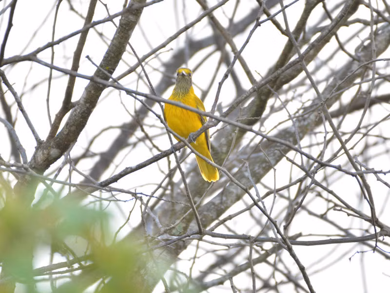 Ve dep cua cac loai dong vat tai vuon quoc gia Cat Tien