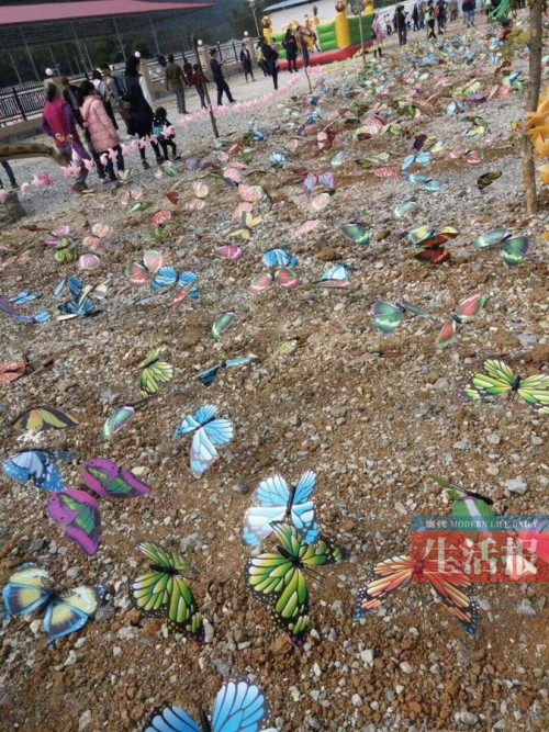 Những con bươm bướm bằng nhựa, bám đày bụi bẩn được gắn trên nền đất.