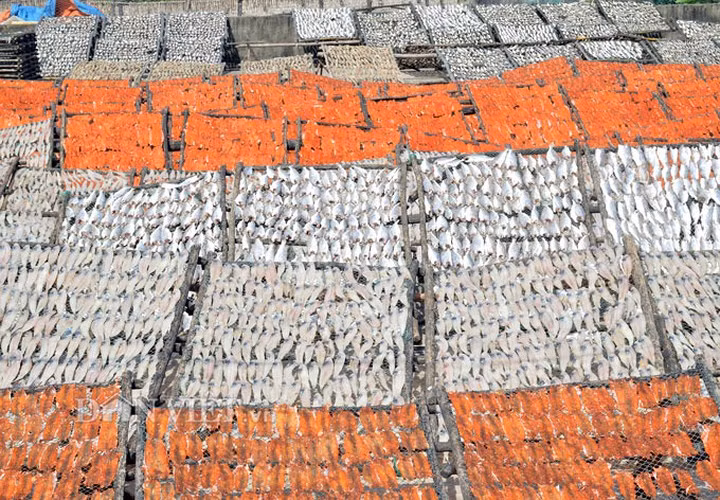 Làng cá khô Cái Đôi Vàm dịp này nhộn nhịp hơn hẳn khi vào mùa làm cá khô Tết với hàng chục hộ làm nghề. Thị trấn Cái Đôi Vàm có hàng trăm phương tiện khai thác biển, từ đây làng cá khô có được nguồn nguyên liệu dồi dào.