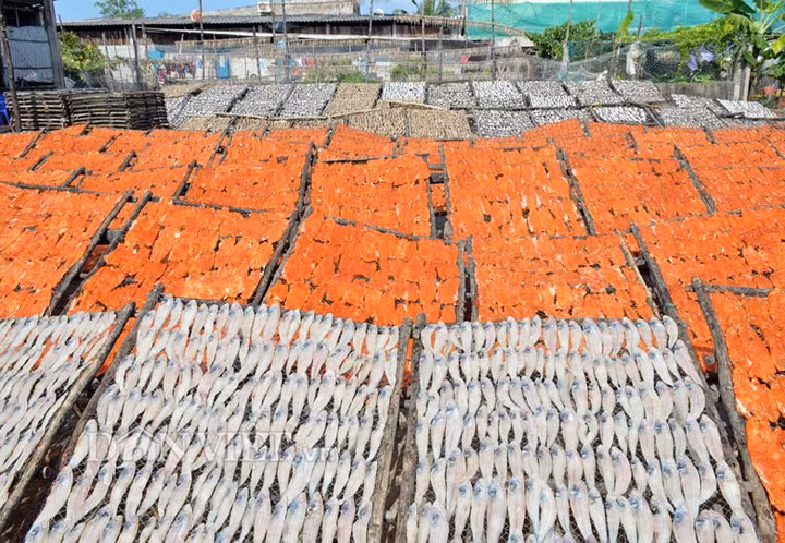 Gia đình ông Chẵn ít nhất phải nâng sản lượng cá khô lên gấp đôi, hiện giá các loại cá khô trung bình dao động từ 50.000-100.000 đồng/kg tùy theo kích cỡ, loại cá.