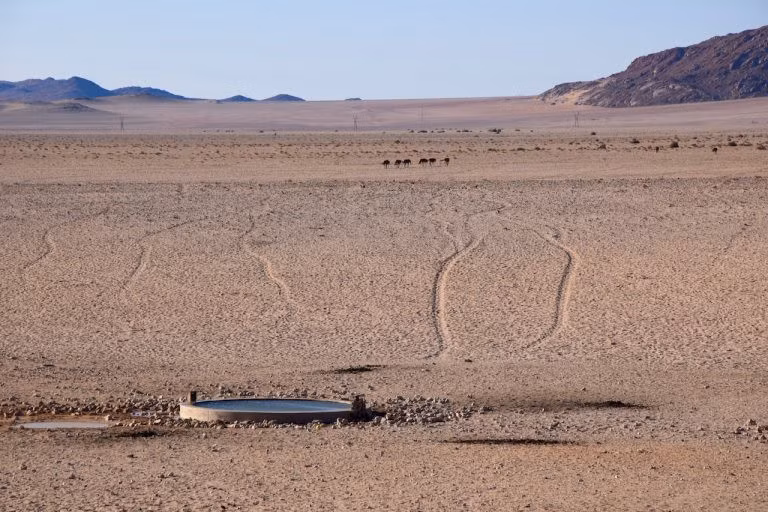 Dọc đường đi, bạn sẽ được ngắm nhìn những đàn ngựa hoang. Không ai biết đích xác vì sao chúng lại xuất hiện ở sa mạc Namib. Một số cho rằng người Đức mang chúng đến, số khác nghĩ chúng sống sót từ những con tàu đắm. Ảnh: Maggieinafrica.