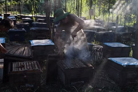 Ca xa dung ngoi khong yen vi ong tan pha rung keo-Hinh-2