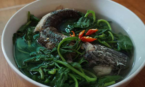 Canh cá lóc cải trời mọc hoang ở Phong Điền vào mùa nước giựt.