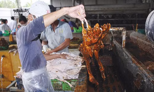 Những con vịt được nhúng vào dung dịch màu nâu đen. Ảnh: Nhật Huy.