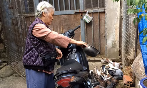 Bà Nguyễn Thị Huyền cho biết, bà coi việc chăm sóc đàn chim là thú vui lúc tuổi già. Ảnh: Minh Anh