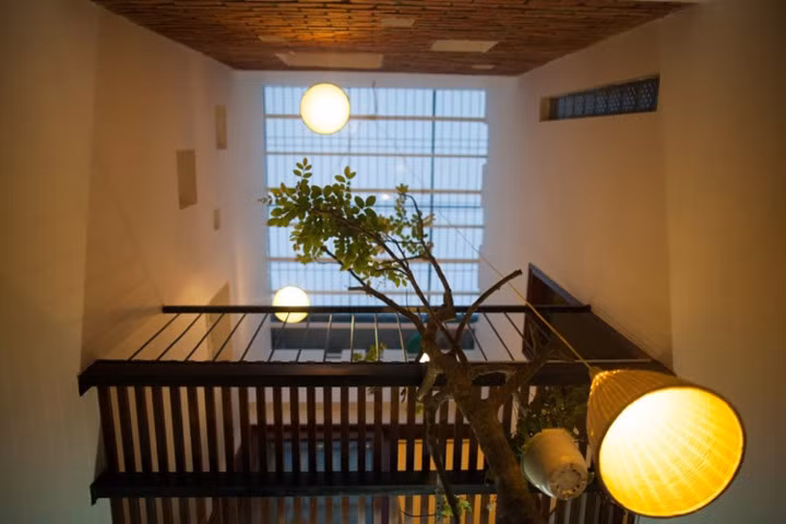 Lớp mái trong suốt giúp cung cấp ánh sáng tự nhiên cho ngôi nhà.