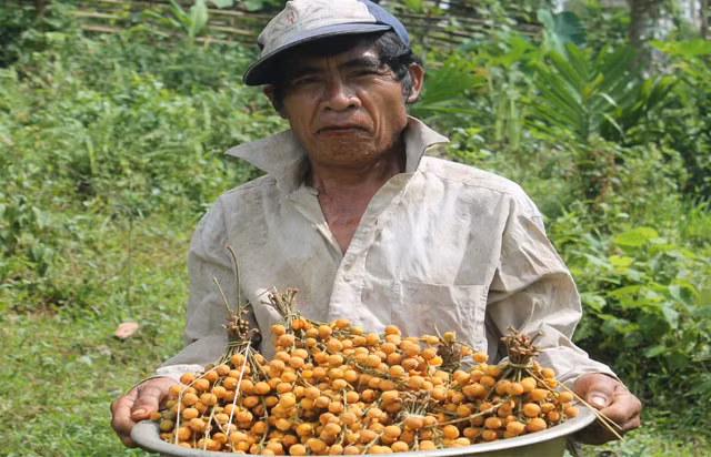 Deo gui vao rung tim trai "vua so da bach": Hai cua troi cho