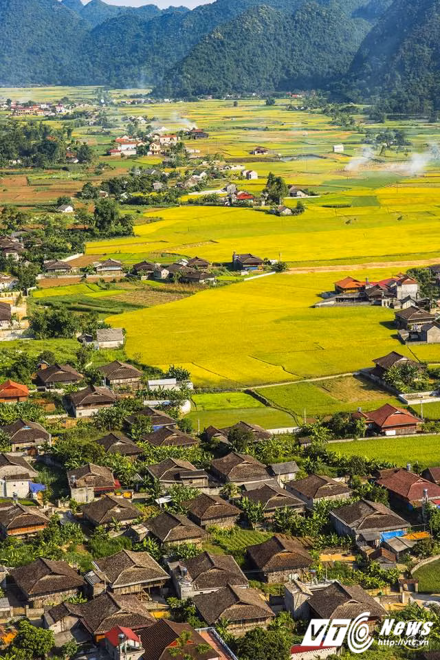 Những ruộng lúa chín vàng ôm ấp những nếp nhà của người dân tộc Tày, Nùng, Dao... dưới thung lũng.