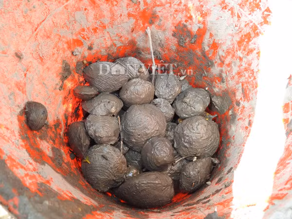 Giá bán của các loại ngán tùy loại, từ 350.000-420.000 đồng/kg, người bắt ngán có thể kiếm tiền triệu mỗi ngày.