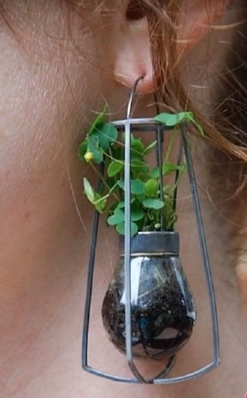 Đây chắc hẳn là khuyên tai vì một môi trường xanh sạch đẹp.