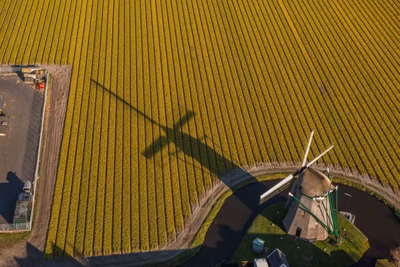 Ảnh George Steinmetz.