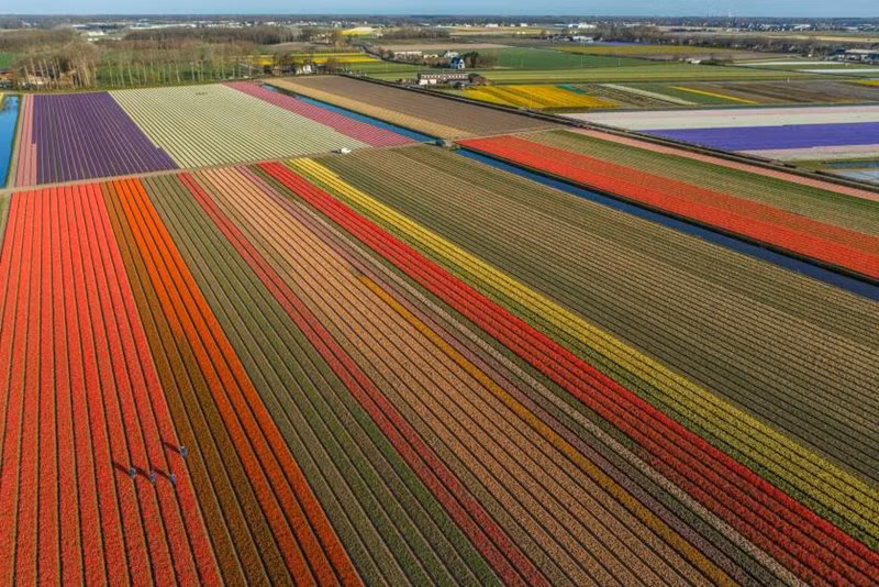 Ảnh George Steinmetz.