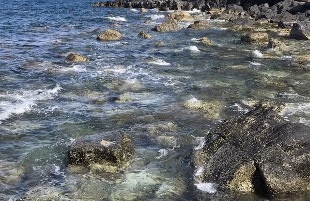 Để rồi mỗi khi xô bờ, sóng gặp đá tạo nên tiếng lao xao, ì oạp với đủ cung bậc như khúc tự tình dành tặng riêng cho nơi đây suốt ngàn năm qua. Điều khá đặc biệt nữa là môi trường sinh thái biển của Gành yến rất đa dạng với nhiều loại san hô, tôm, cá... Thời gian qua thắng cảnh này chưa bị con người tác động nhiều nên vẫn giữ được gần như nguyên vẹn nét hoang sơ của nó.