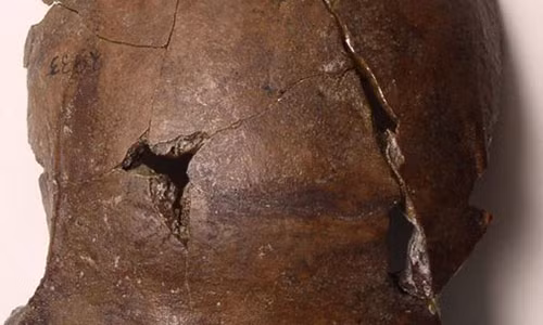 Phat hien hop so nan nhan song than xua nhat Trai dat?