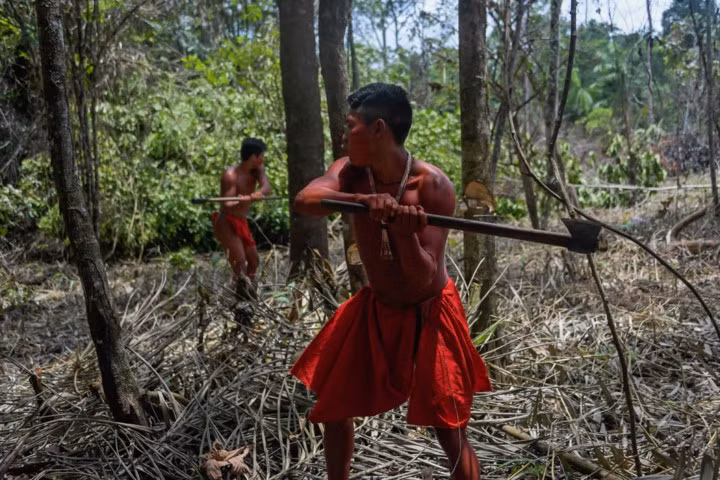 Dân số thưa thớt, địa hình hiểm trở khiến việc tự bảo vệ lãnh thổ của người Waiapi hết sức khó khăn. Những kẻ khai thác lậu thường xuyên xâm nhập vào khu bảo tồn nơi có người Waiapi sinh sống để mở các mỏ khai thác vàng và kim loại quý.