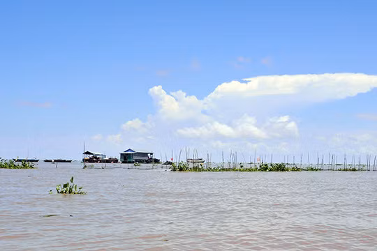 "Tui ca" Bien Ho: Chi con trong chuyen ke