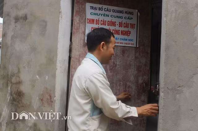 Bat chim cau ap trung…gia, "soai ca" thu 70 trieu/thang