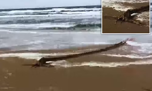 "Thuy quai" dai ngoang bi an dat vao bo bien Ha Lan