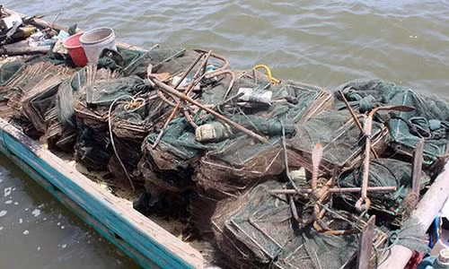 Rung minh voi long "bat quai" huy diet thuy san