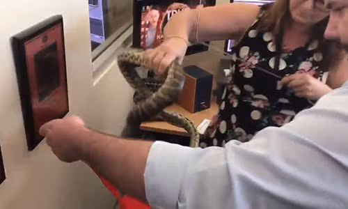 Thay tran tron sau may tinh, “thanh nu van phong” hanh dong bat ngo