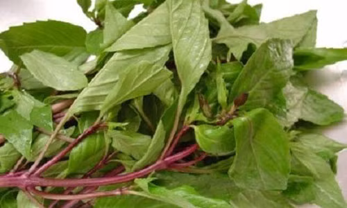 Rang trang nhu boc su chi voi nam la vai nghin dong nay