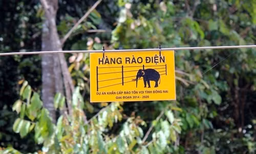 Dong Nai: Dung 50 km hang rao dien ngan voi du