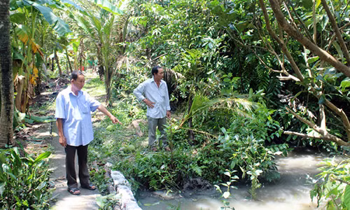 Nghi an ba chu bi cuop giet hai, bo xac trong bui ram