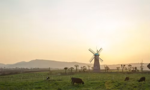 VINAMILK tien phong nang cao chat luong nganh sua voi trang trai organic-Hinh-4