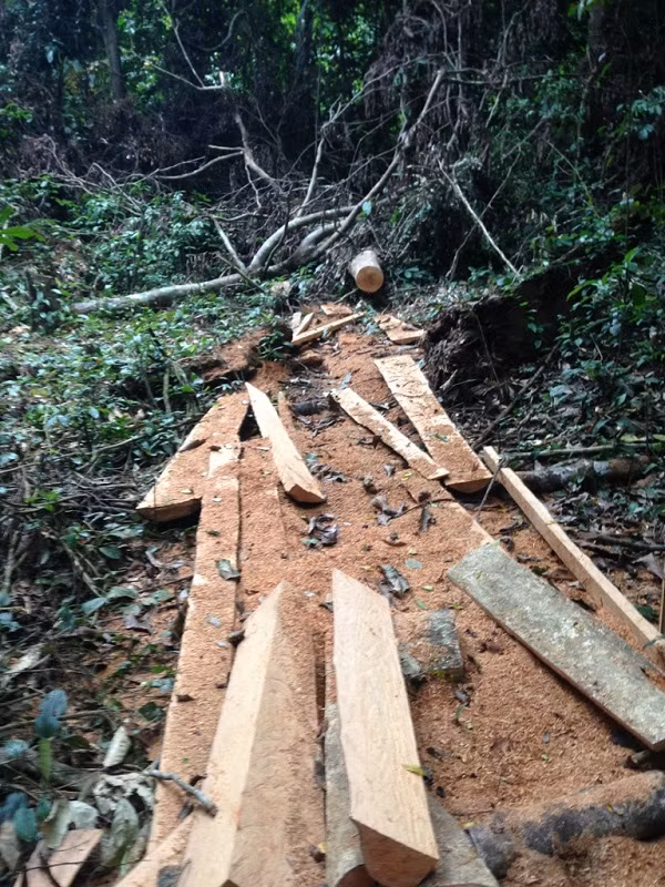 Vung loi Vuon quoc gia Cuc Phuong van bi "lam tac xe thit"