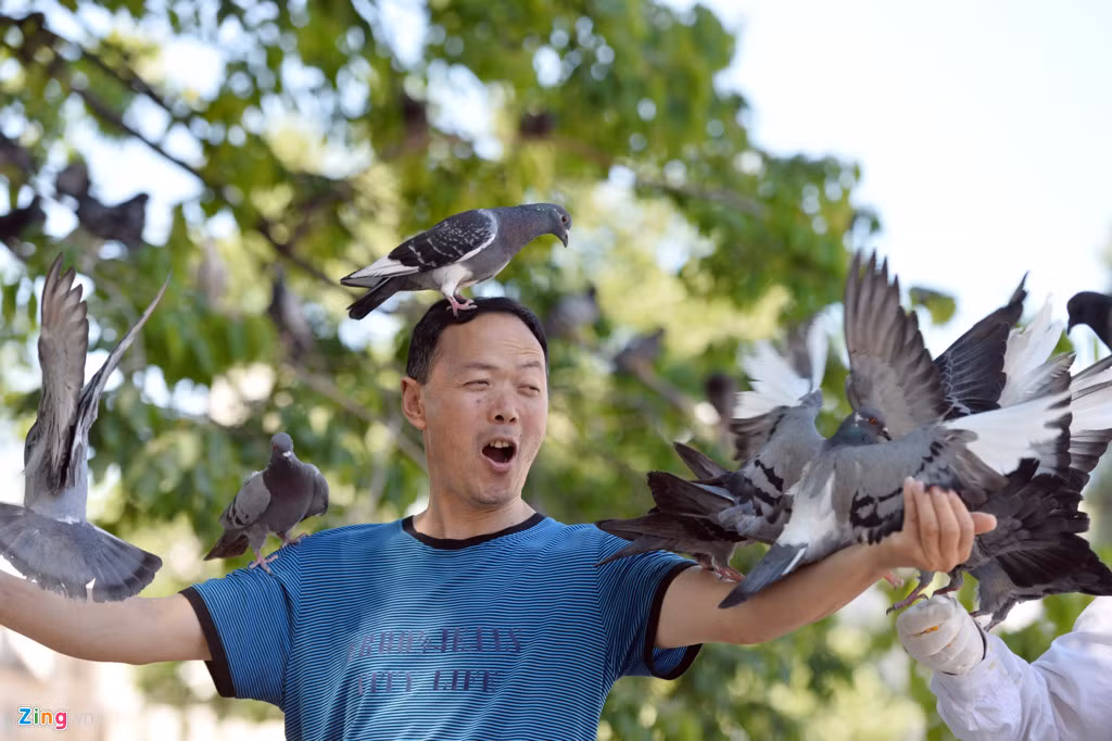 Các du khách muốn đùa với chim có thể mang theo thức ăn trên tay, tự chúng sẽ nhảy xuống khắp người để thay nhau mổ.