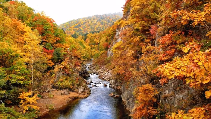 Jozankei cách trung tâm 40 phút lái xe, đây là một trong những thung lũng xinh đẹp nhất mà du khách thường đến tham quan vào mùa thu.