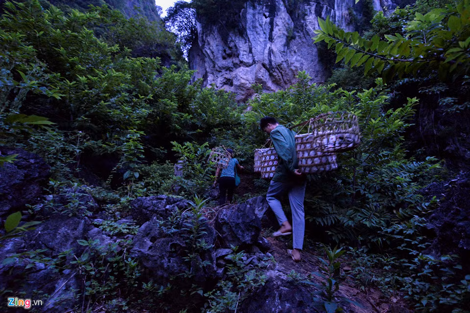Gian nan nghe trong na tren nui da