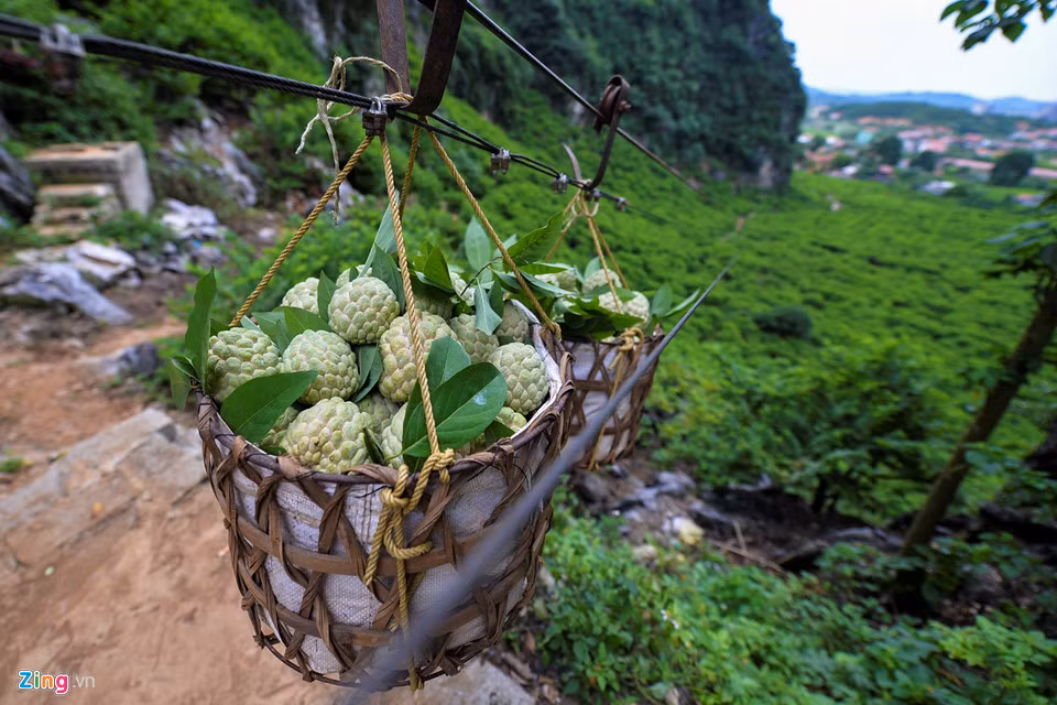 Một bộ tời có 4 trạm vận chuyển cùng chi phí xây dựng trụ cột có giá 60 triệu đồng với khoảng 20 hộ dân cùng đóng góp, sử dụng chung.