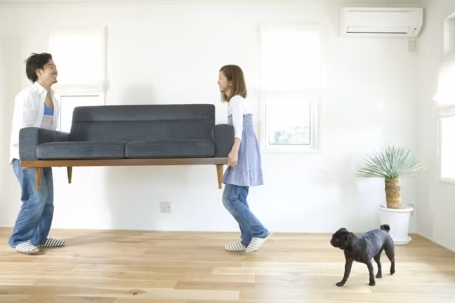 Meo don gian duoi van xui, ruoc may man cho ngoi nha-Hinh-3