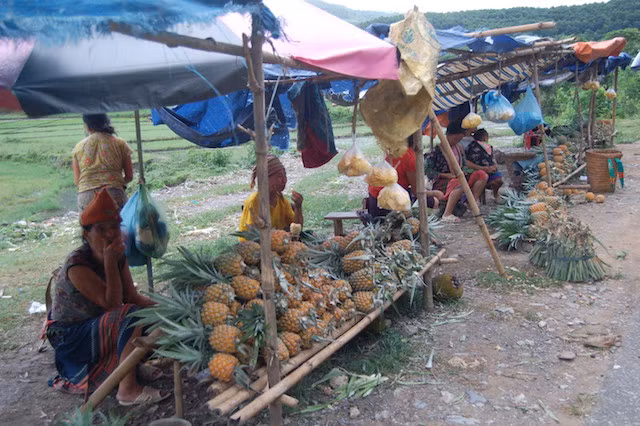 Dieu gi lam nen su dac biet cua Dua Muong Cha?-Hinh-2