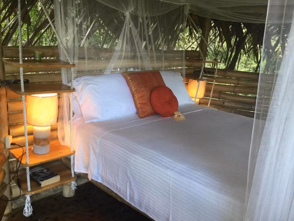 Diane cho hay: "Ngôi nhà bắt đầu từ một ước mơ đơn giản của chồng tôi khi còn là chàng trai trẻ, giờ đây đã trở thành một tác phẩm nghệ thuật treo lơ lửng, ẩn trong rừng nhiệt đới vùng Bocas Del Toro, Panama. Chúng tôi đang sống trong rừng, trên một hòn đảo, bao quanh là thiên nhiên, động vật hoang dã, vẻ đẹp của vùng nhiệt đới và biển Caribbean".